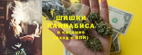 хмурый Алзамай