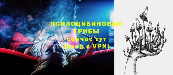 хмурый Алзамай