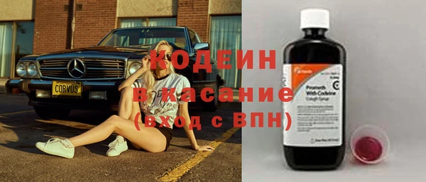 хмурый Алзамай